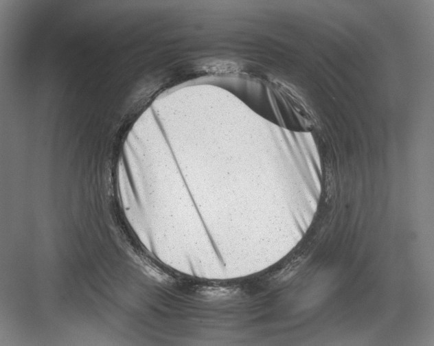 X0000082170453200702162305