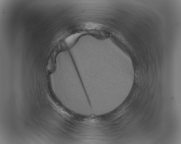 X0000082170454200702162305