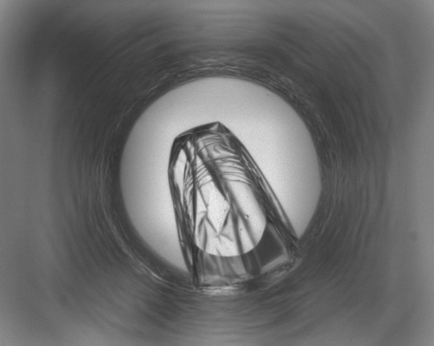 X0000082170456200702162305