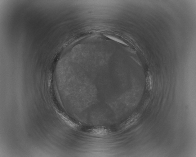 X0000082170458200702162305