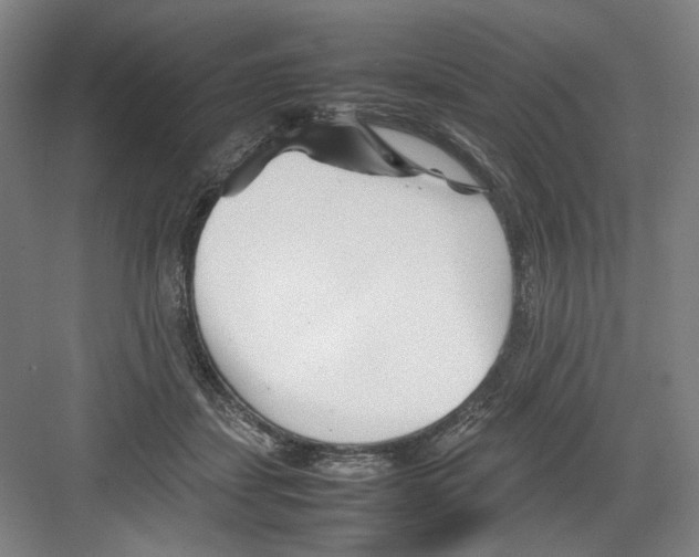 X0000082170459200702162305