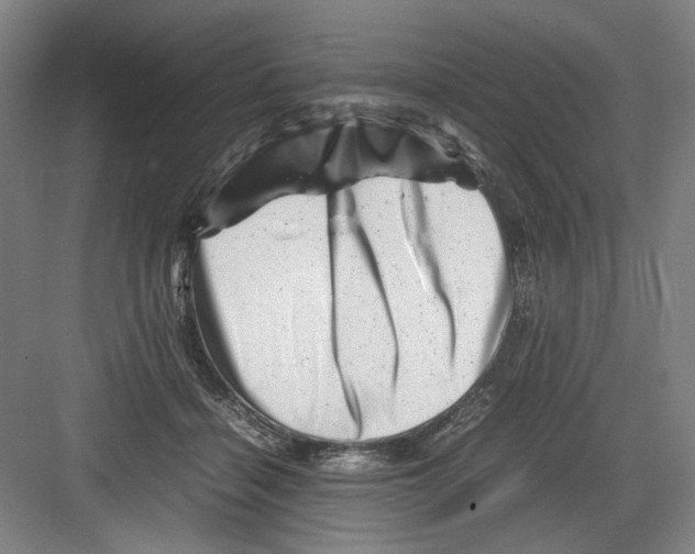 X0000082170460200702162305