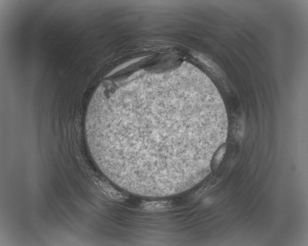 X0000082170461200702162305