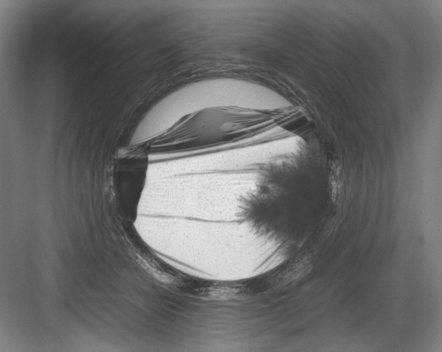 X0000082170462200702162305