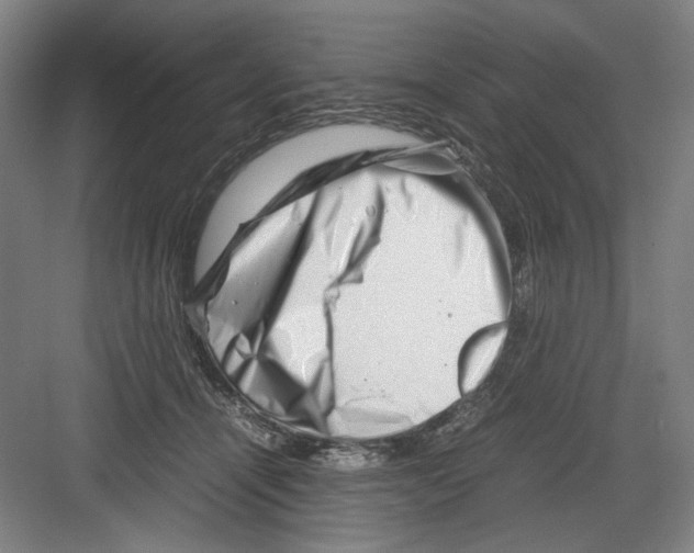 X0000082170464200702162305