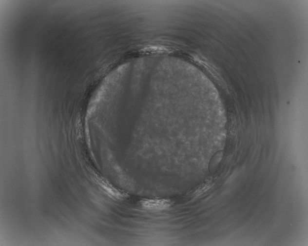 X0000082170465200702162305