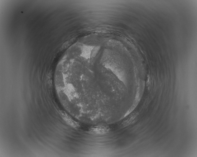 X0000082170466200702162305