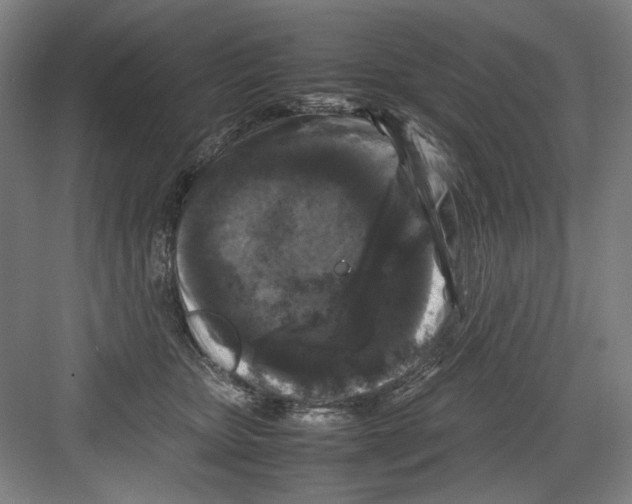 X0000082170467200702162305