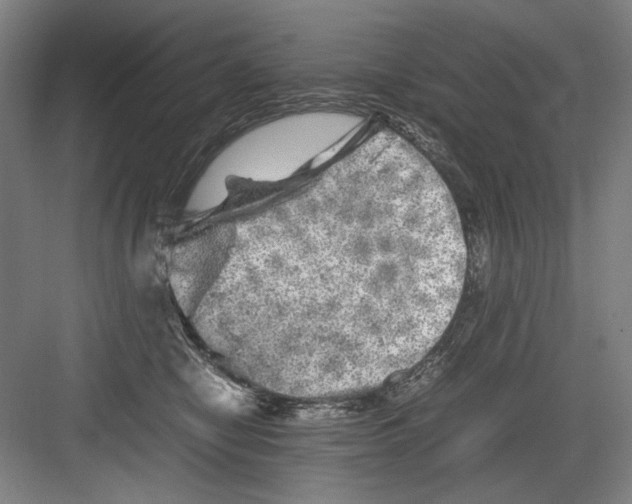 X0000082170470200702162305