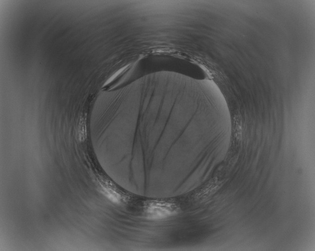 X0000082170471200702162305