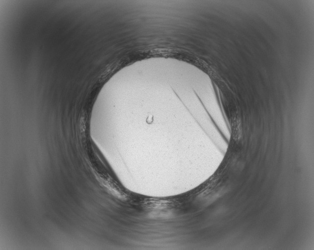 X0000082170472200702162305