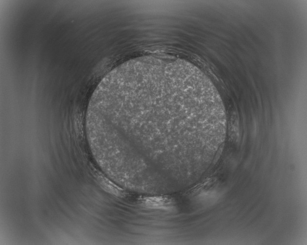 X0000082170473200702162305