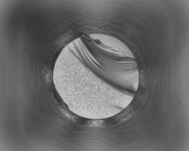 X0000082170474200702162305