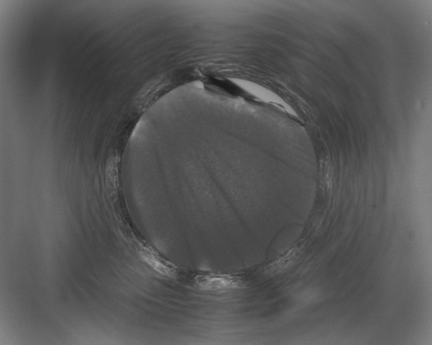 X0000082170475200702162305