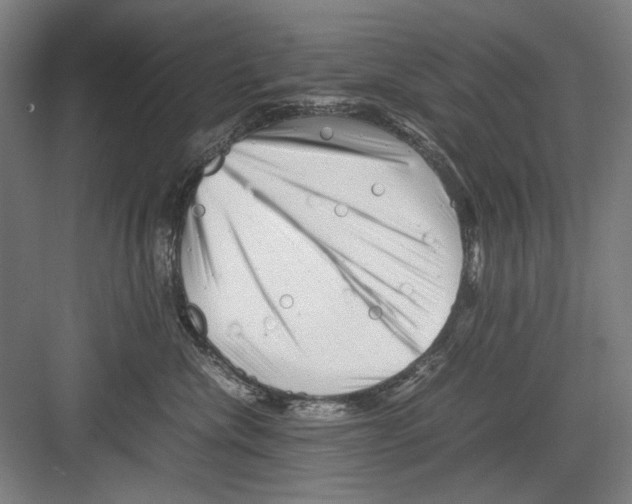 X0000082170476200702162305