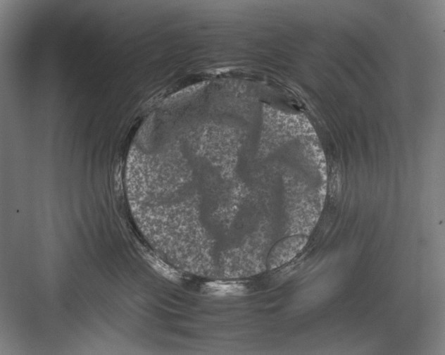 X0000082170477200702162305