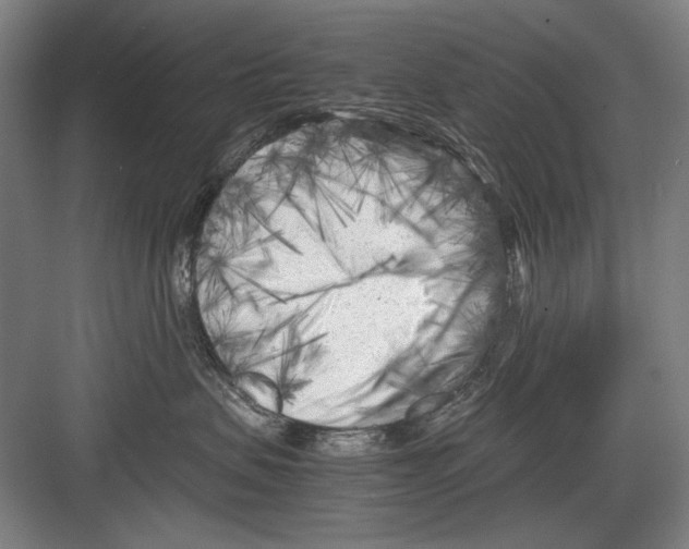 X0000082170479200702162305