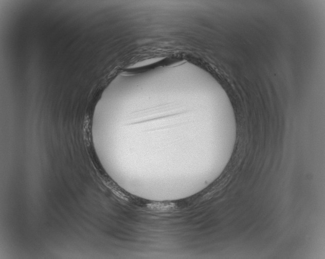 X0000082170480200702162305