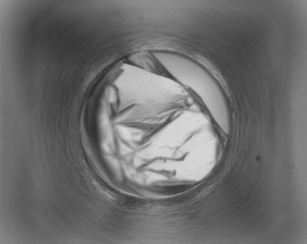 X0000082170481200702162305