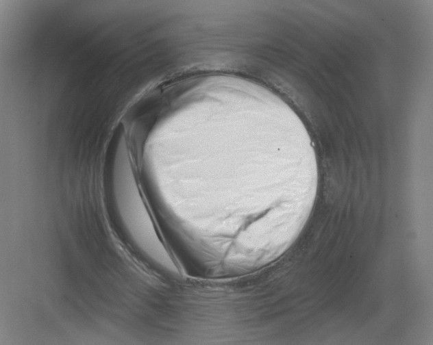 X0000082170482200702162305