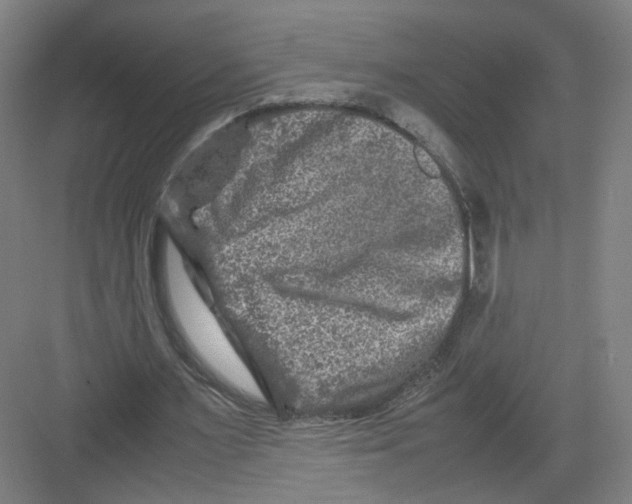 X0000082170483200702162305