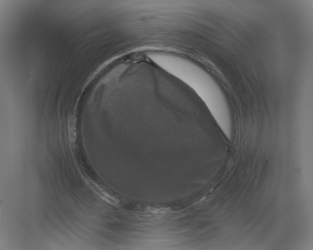 X0000082170484200702162305