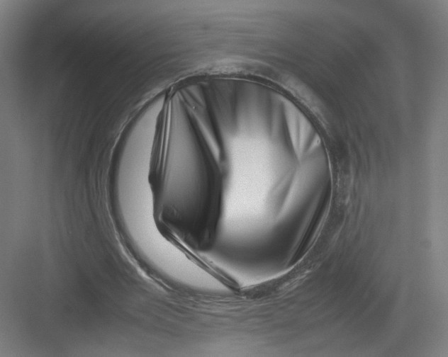 X0000082170485200702162305