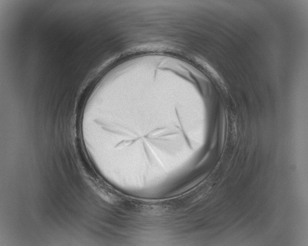 X0000082170486200702162305