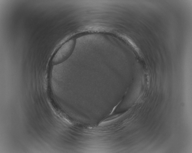 X0000082170488200702162305