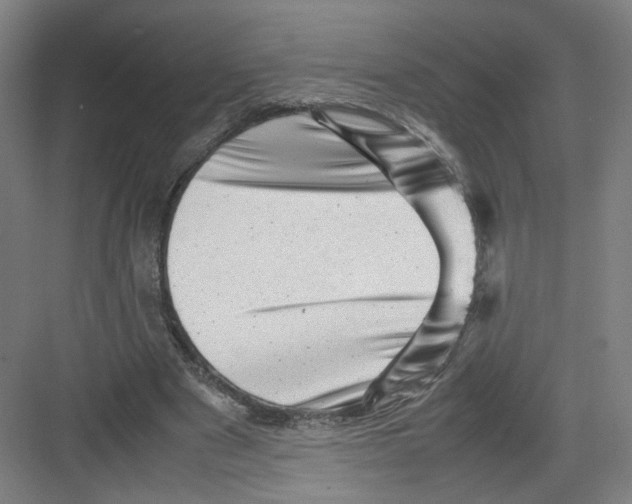 X0000082170489200702162305