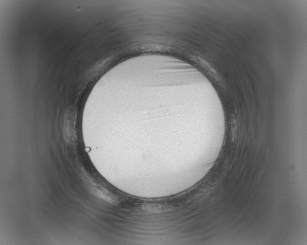 X0000082170490200702162305