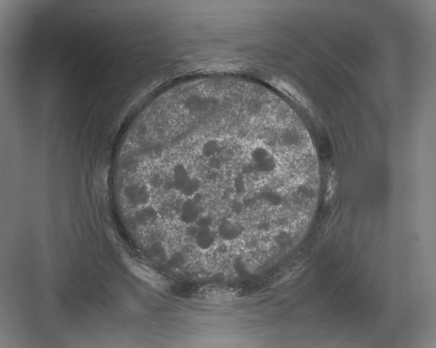 X0000082170491200702162304