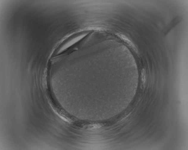 X0000082170492200702162304