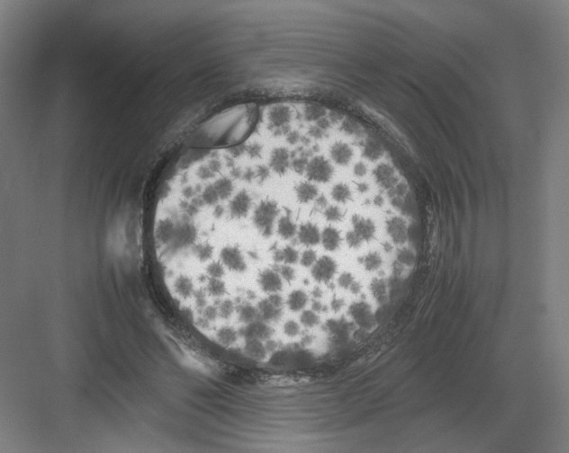 X0000082170494200702162304