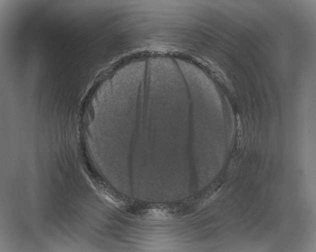 X0000082170496200702162304