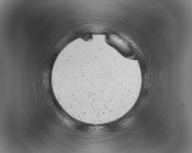 X0000082170497200702162304