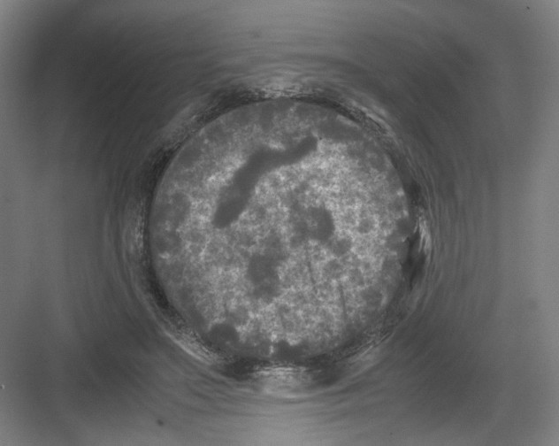 X0000082170499200702162304