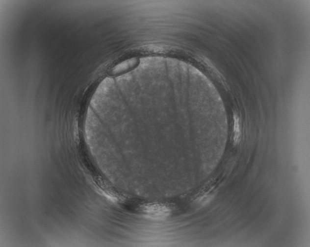 X0000082170500200702162304