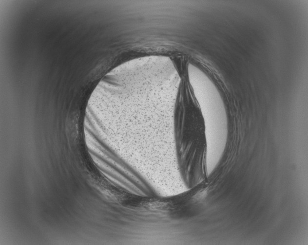 X0000082170501200702162304