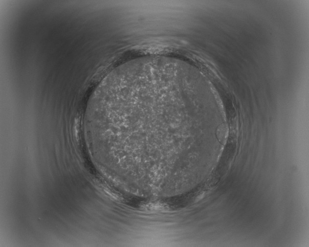 X0000082170503200702162304