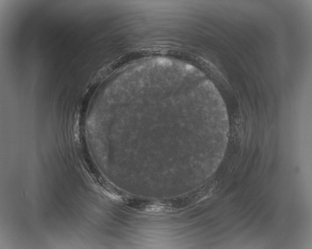 X0000082170504200702162304