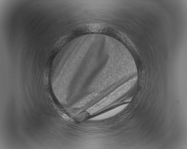 X0000082170505200702162304