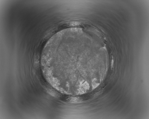 X0000082170507200702162304