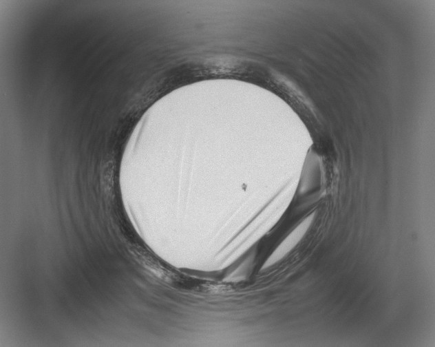 X0000082170509200702162304