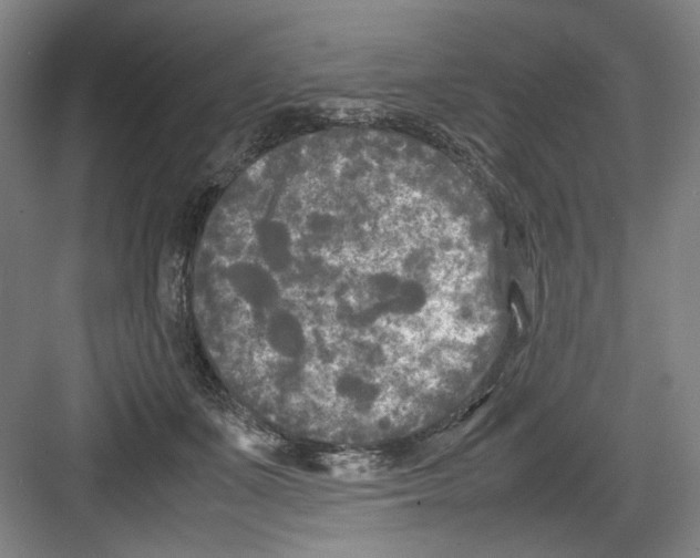 X0000082170511200702162304