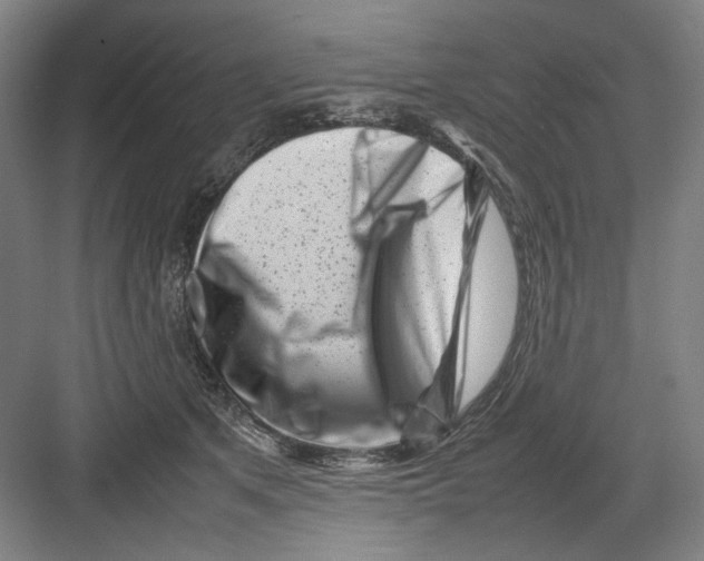 X0000082170513200702162304