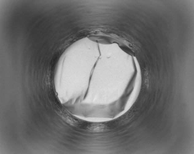 X0000082170514200702162304