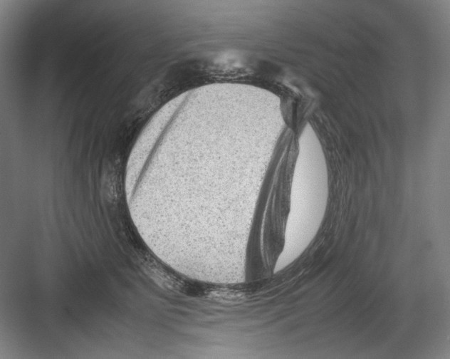 X0000082170515200702162304