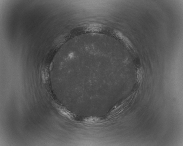 X0000082170517200702162304