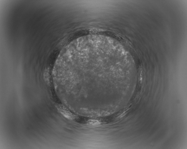 X0000082170519200702162304